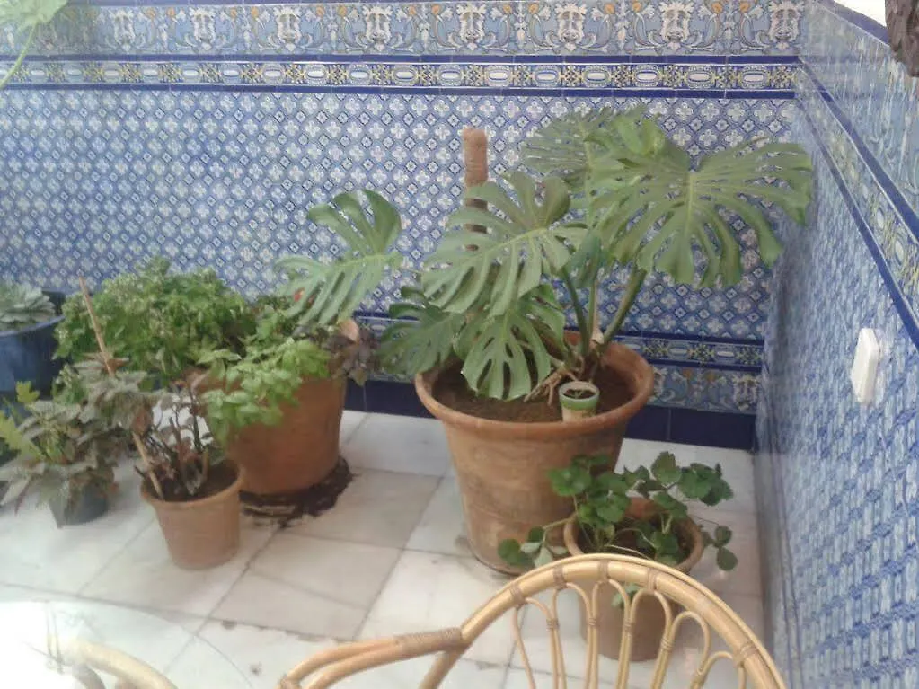 Apartamentos Los Angeles Sevilla España
